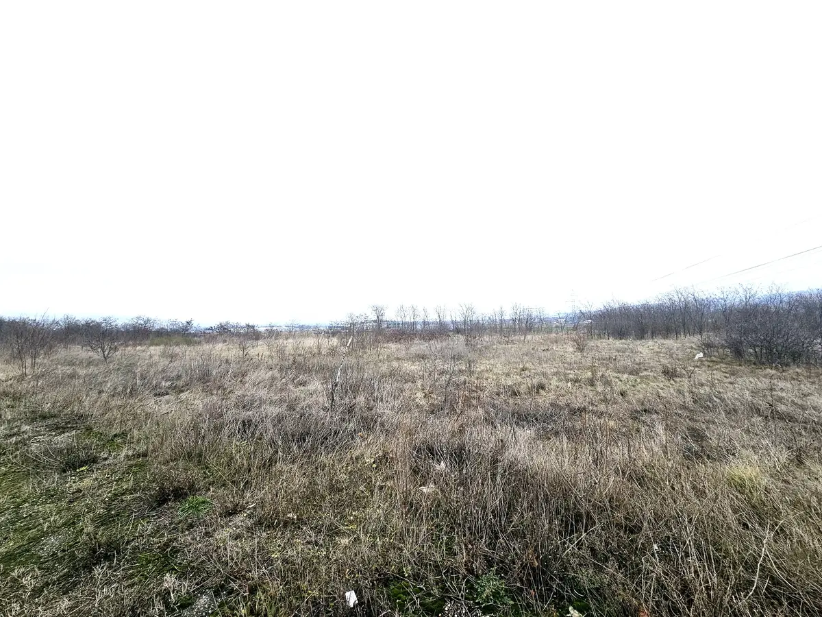 Teren extravilan, 6000 mp, 150 ml deschidere, Lancrăm, fotografia 2