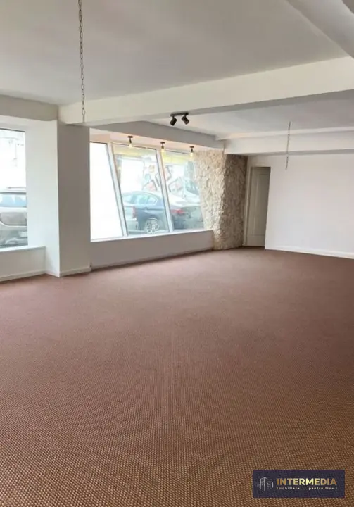 Spatiu Comercial 206 mp. Vanzare CETATE Bulevard Parcare Finisat Utilat complet, fotografia 5