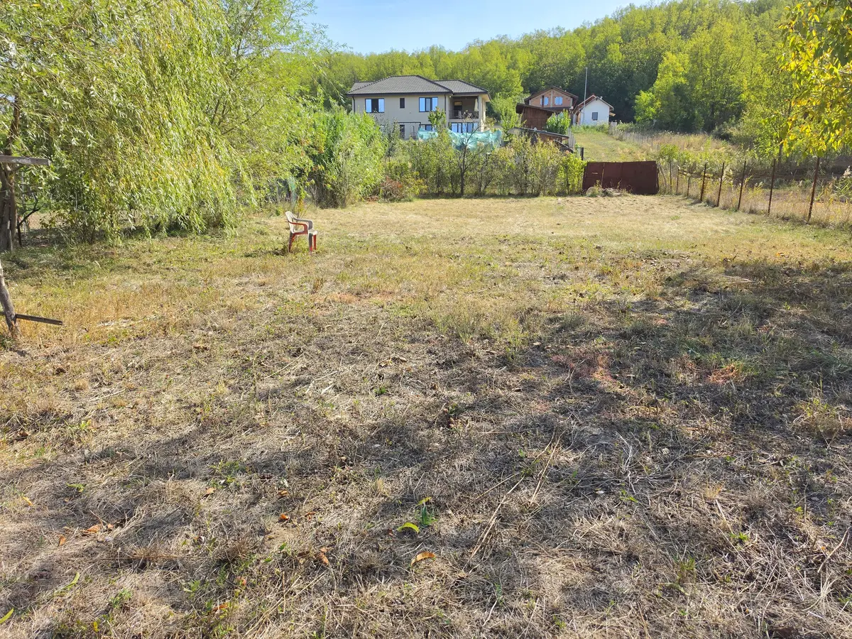 Casă tradițională, 3 camere, la asfalt, teren 1685 mp, Ciugud, fotografia 5