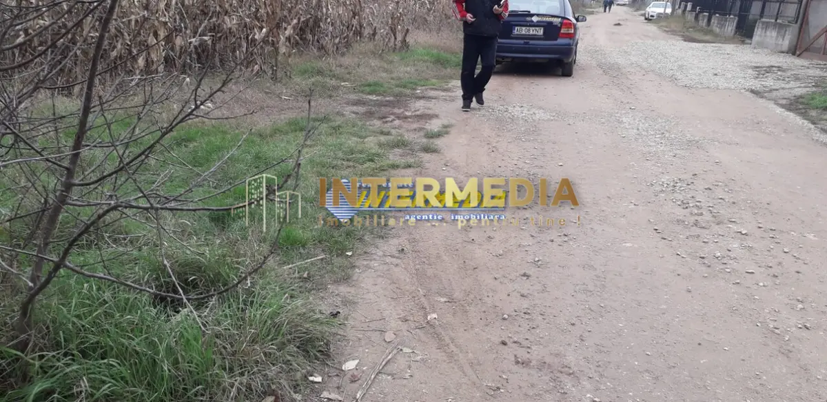 Teren intravilan de vanzare 2700 mp Alba Micesti, fotografia 3