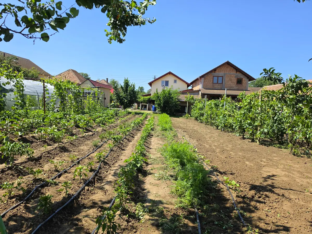 Casă cu 4 camere și anexe, teren 636 mp, pe stradă asfaltată, în Vințu de Jos, fotografia 4