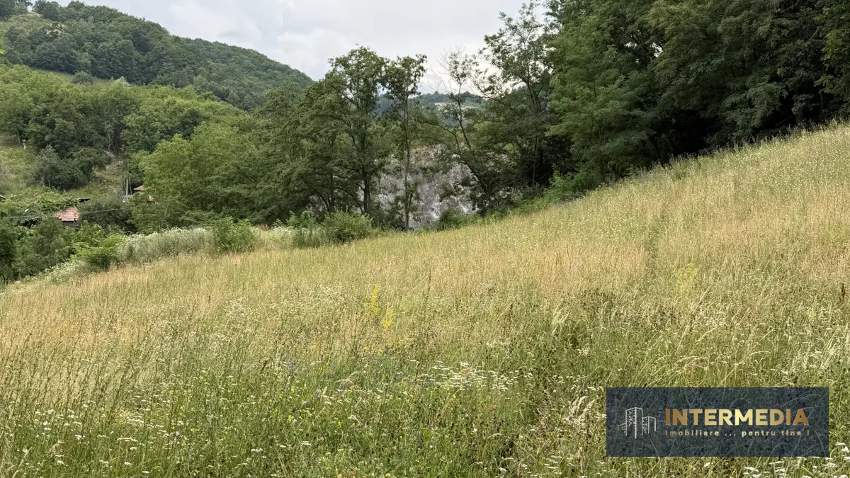 Teren intravilan de 1.800 mp în Meteș, la liziera pădurii, deschidere de 28 m, fotografia 1