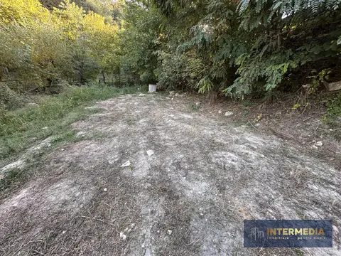 Fotografia 5