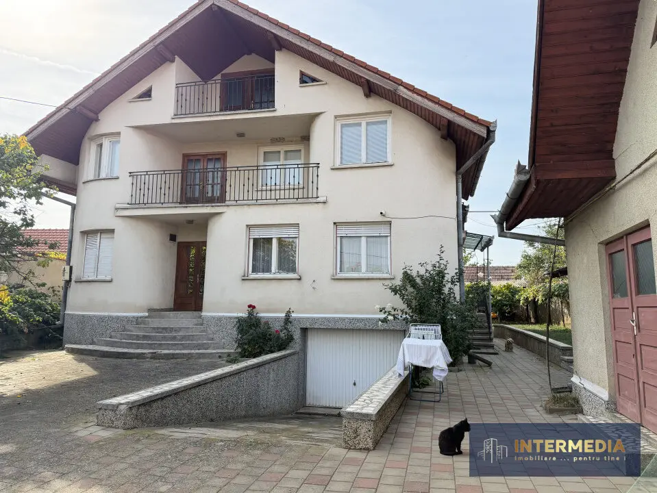 Casă D+P+E+M în Vințu de Jos, teren de 4.100 mp, intravilan și extravilan, utilități, fotografia 1