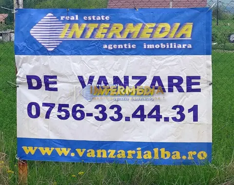 Fotografia 3