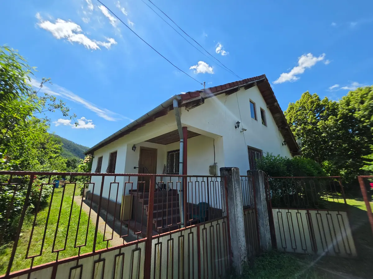 Casă cu teren de 7050 mp în Pianu de Sus, fotografia 1