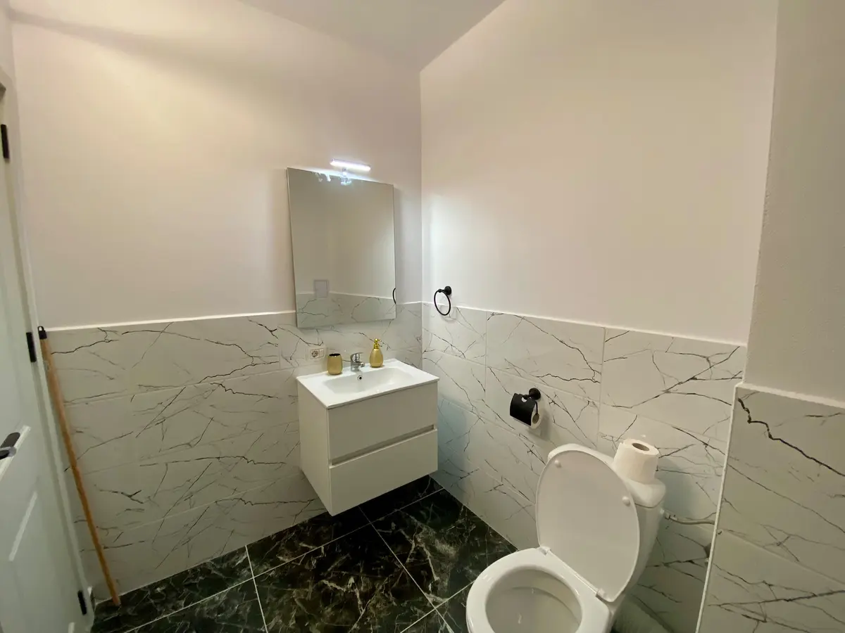 Apartament cu 2 camere de închiriat, prima închiriere, zona Arex - Ampoi 3, fotografia 12