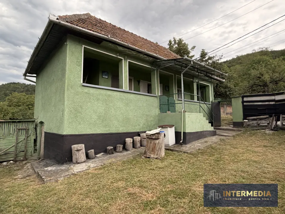 Casă în Cricău cu 1.375 mp teren, anexe, utilități, vie și livadă, fotografia 2