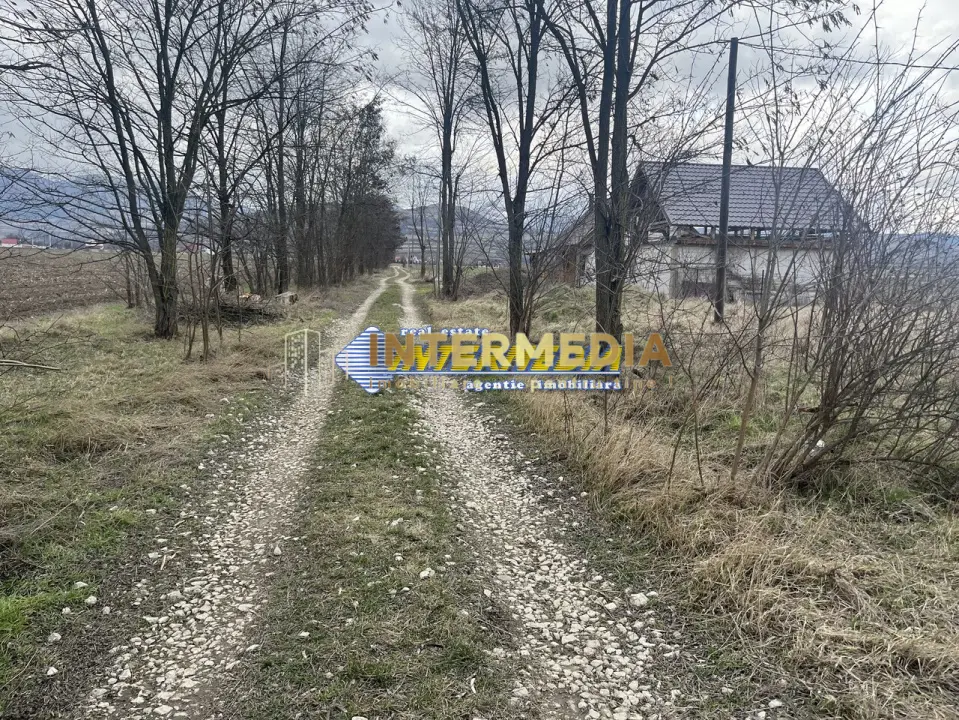 TEREN INTRAVILAN, 800 MP, IGHIU, LATIME 29 ML, IDEAL CASA SAU CABANA, fotografia 5