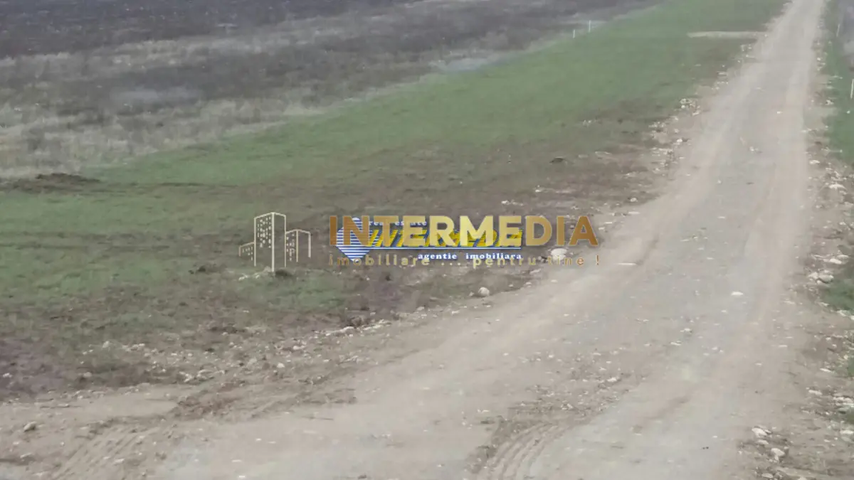 Teren Intravilan de vanzare 5000mp Alba-Micesti, fotografia 1