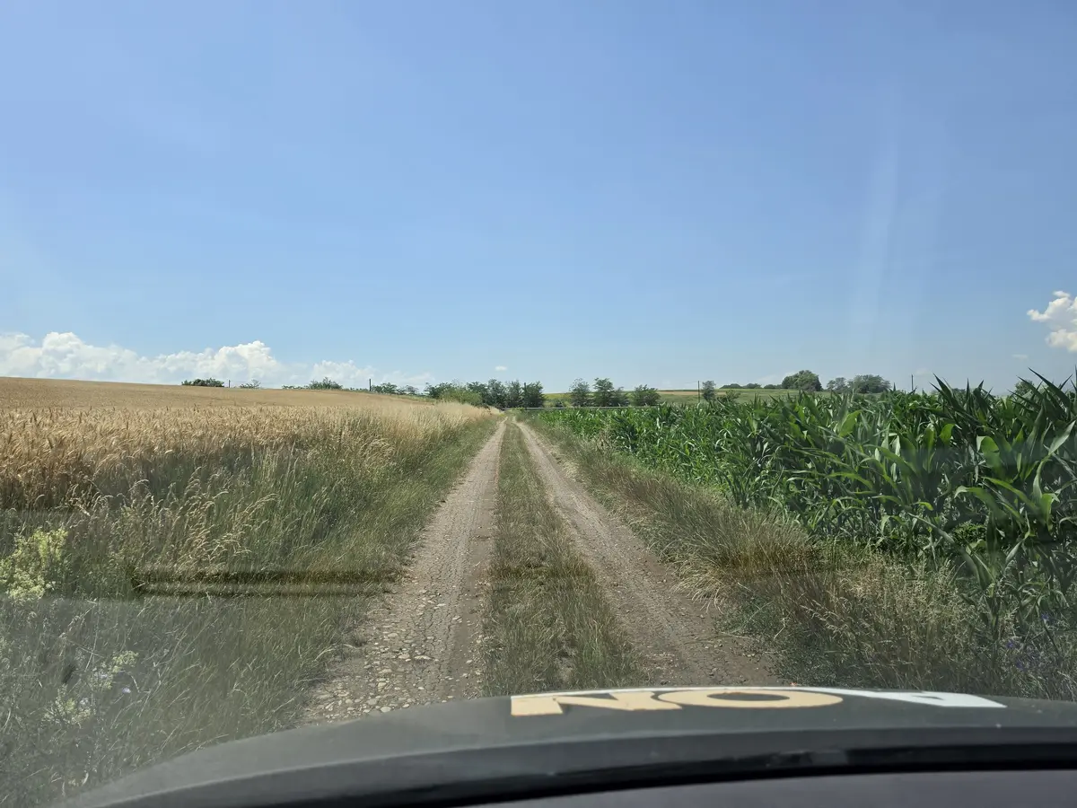 Teren intravilan industrial, 21.300 mp, deschidere 77 m, Vințu de Jos, fotografia 3