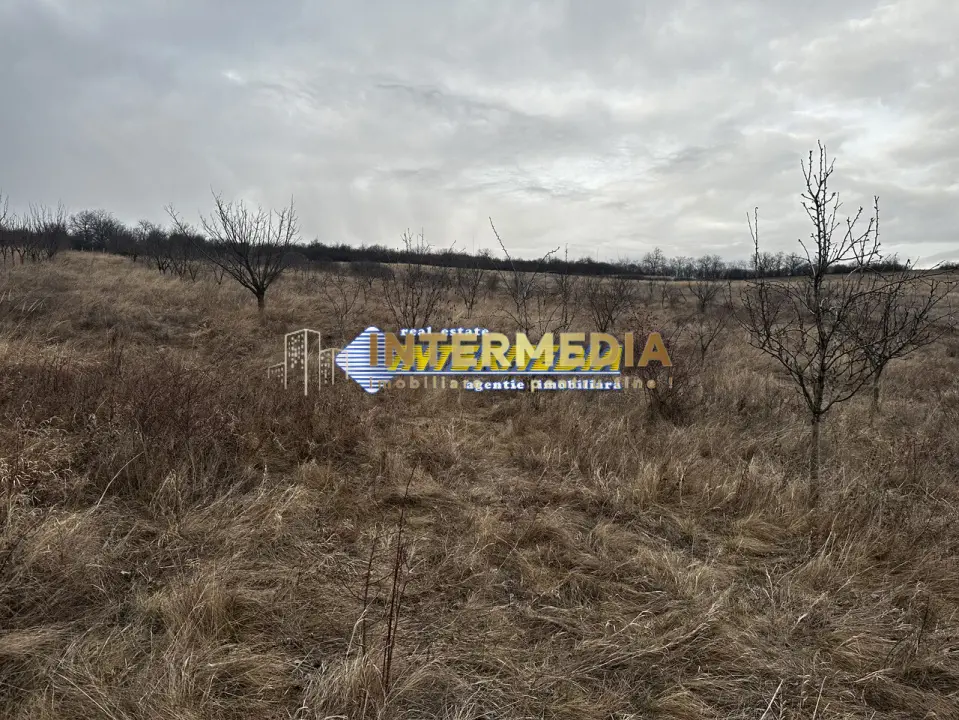 Teren extravilan de vanzare in suprafata de 80000 mp cu livada de pomi fructiferi, fotografia 7