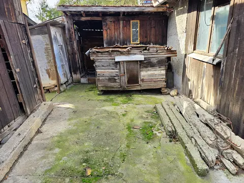 Fotografia 15