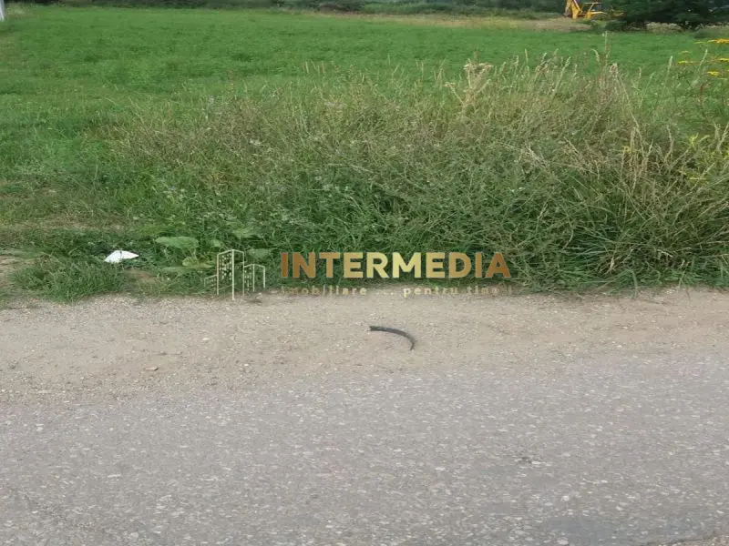Teren intravilan 5000 mp de vanzare pe soseaua de Centura Alba Iulia, fotografia 2