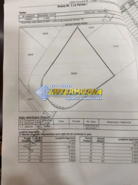 Fotografia 8