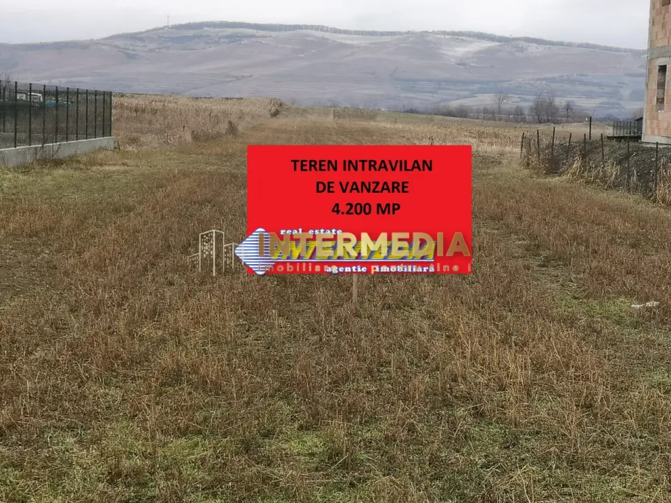 Teren intravilan 4200 mp de vanzare Alba Micesti cu utiliati langa, fotografia 2