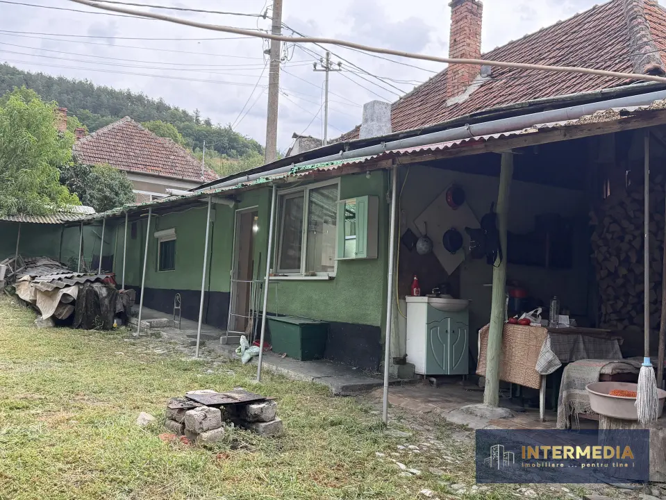 Casă în Cricău cu 1.375 mp teren, anexe, utilități, vie și livadă, fotografia 12