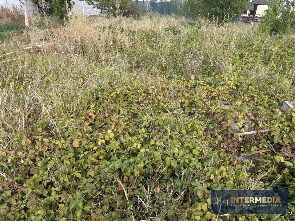 Teren intravilan 432 mp, cu apă, gaz și curent, deschidere la stradă 22 ml, fotografia 4
