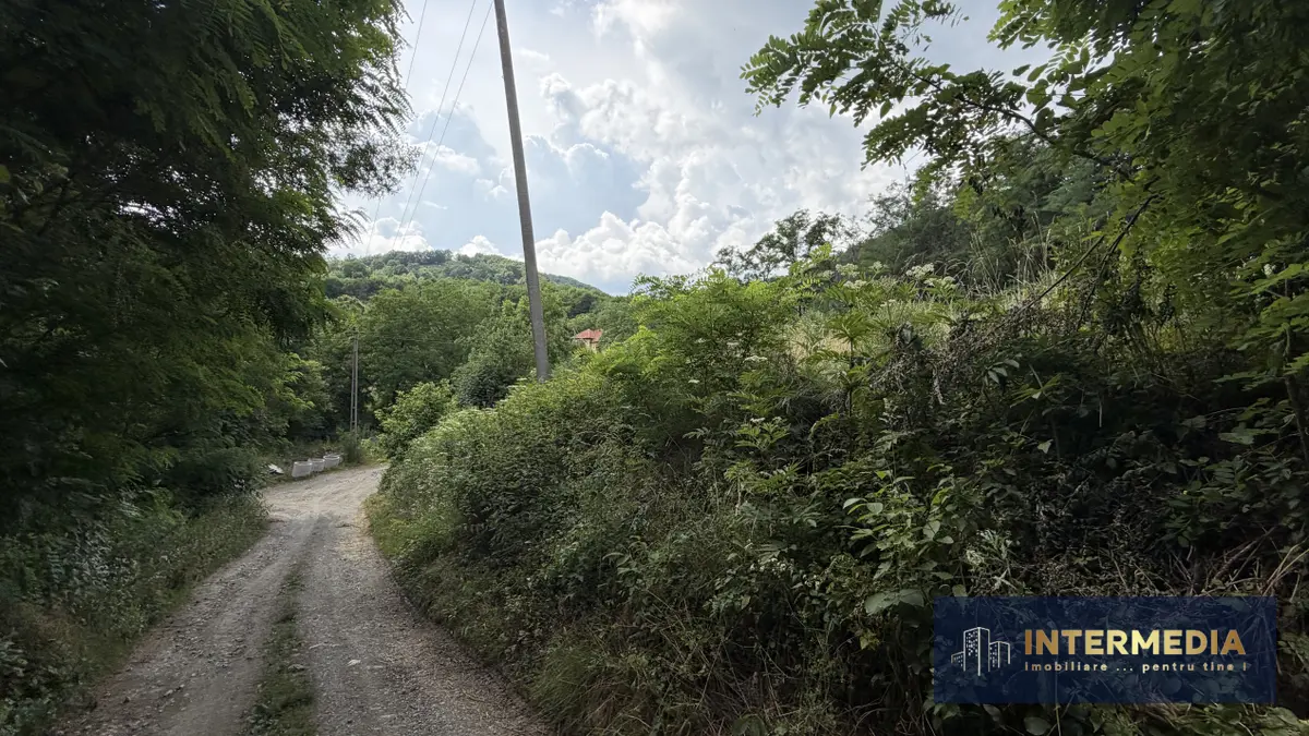 Teren intravilan 1257 mp la liziera pădurii, Meteș, la 15 km de Alba Iulia, fotografia 6