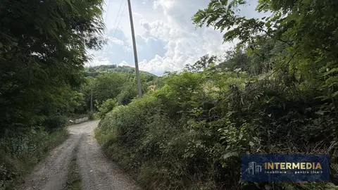 Fotografia 6