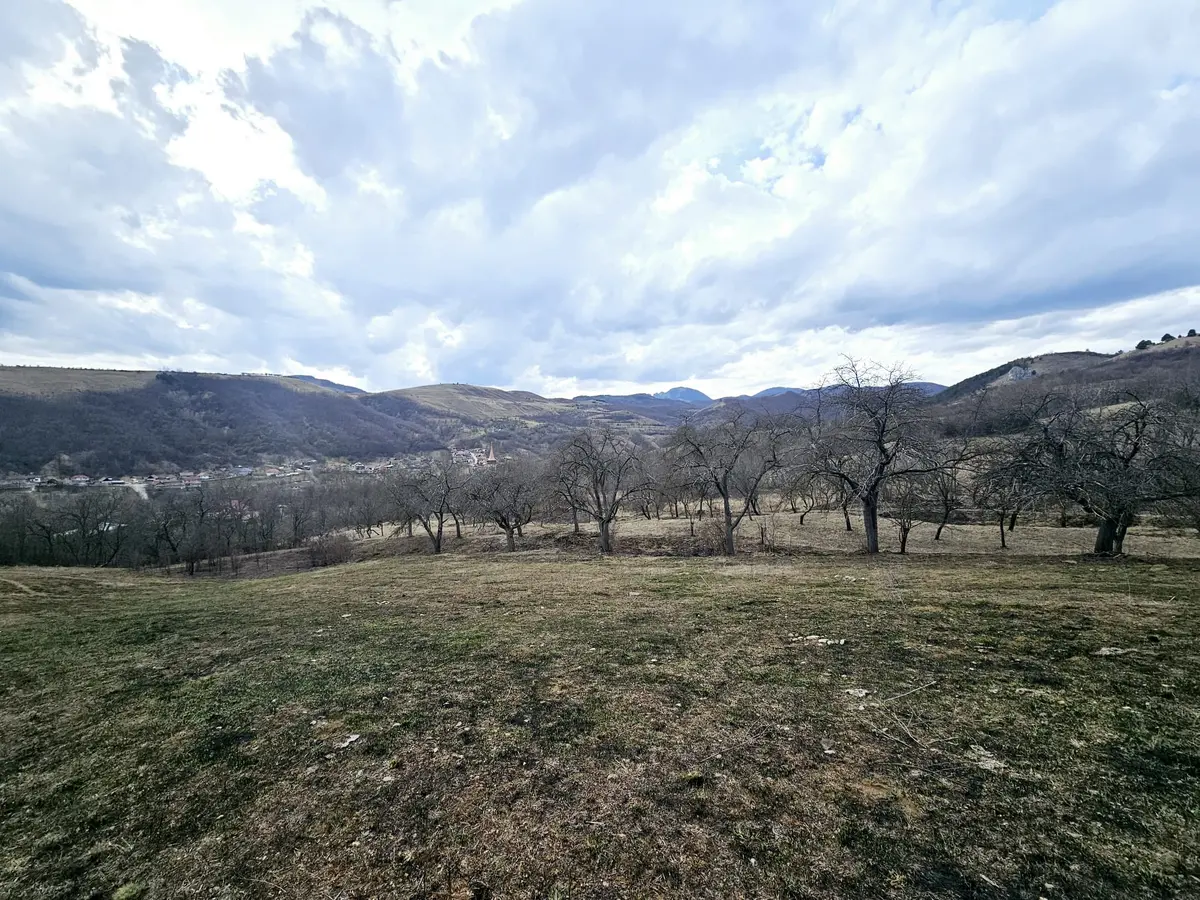 Teren intravilan de vânzare, 12211 mp, Geoagiu de Sus, fotografia 2