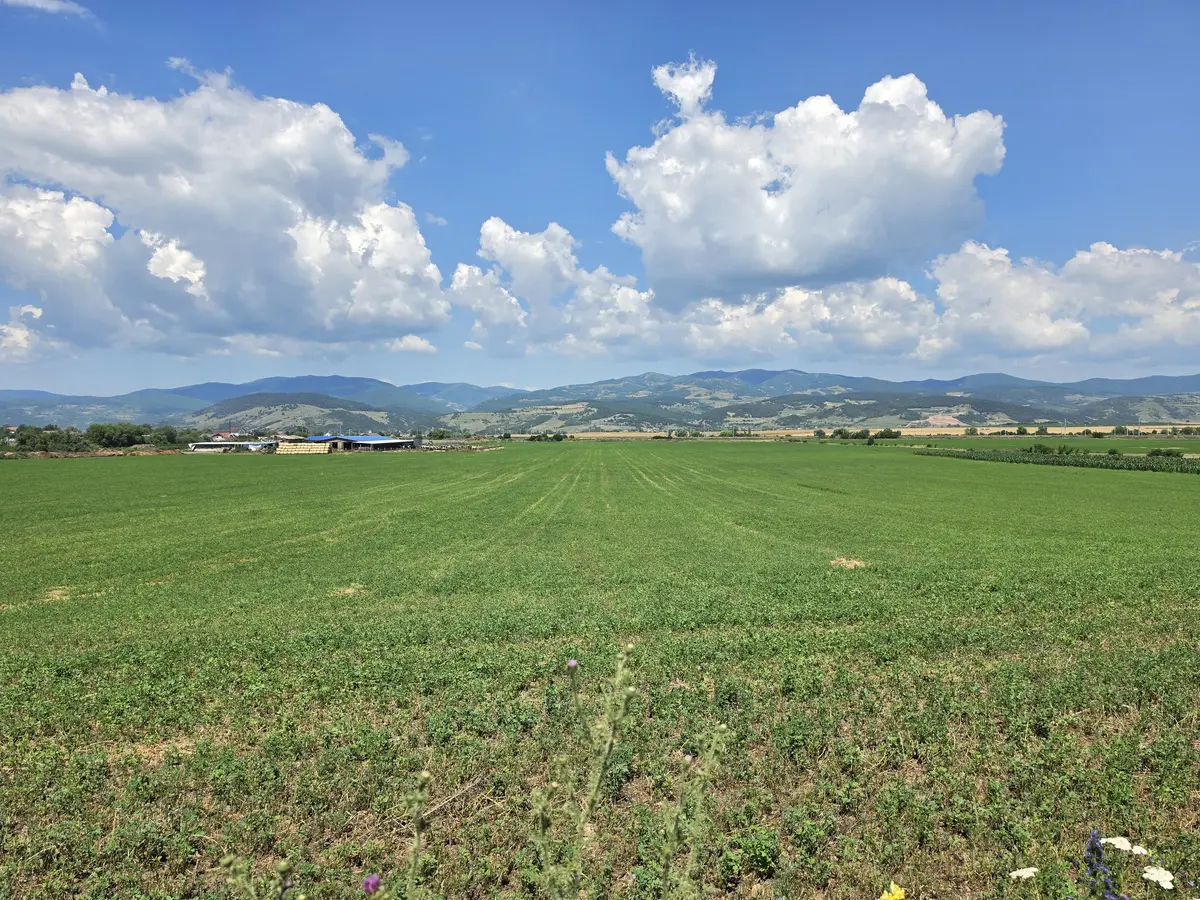 Teren intravilan industrial, 21.300 mp, deschidere 77 m, Vințu de Jos, fotografia 1