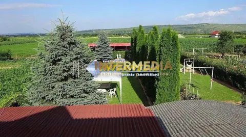Fotografia 9