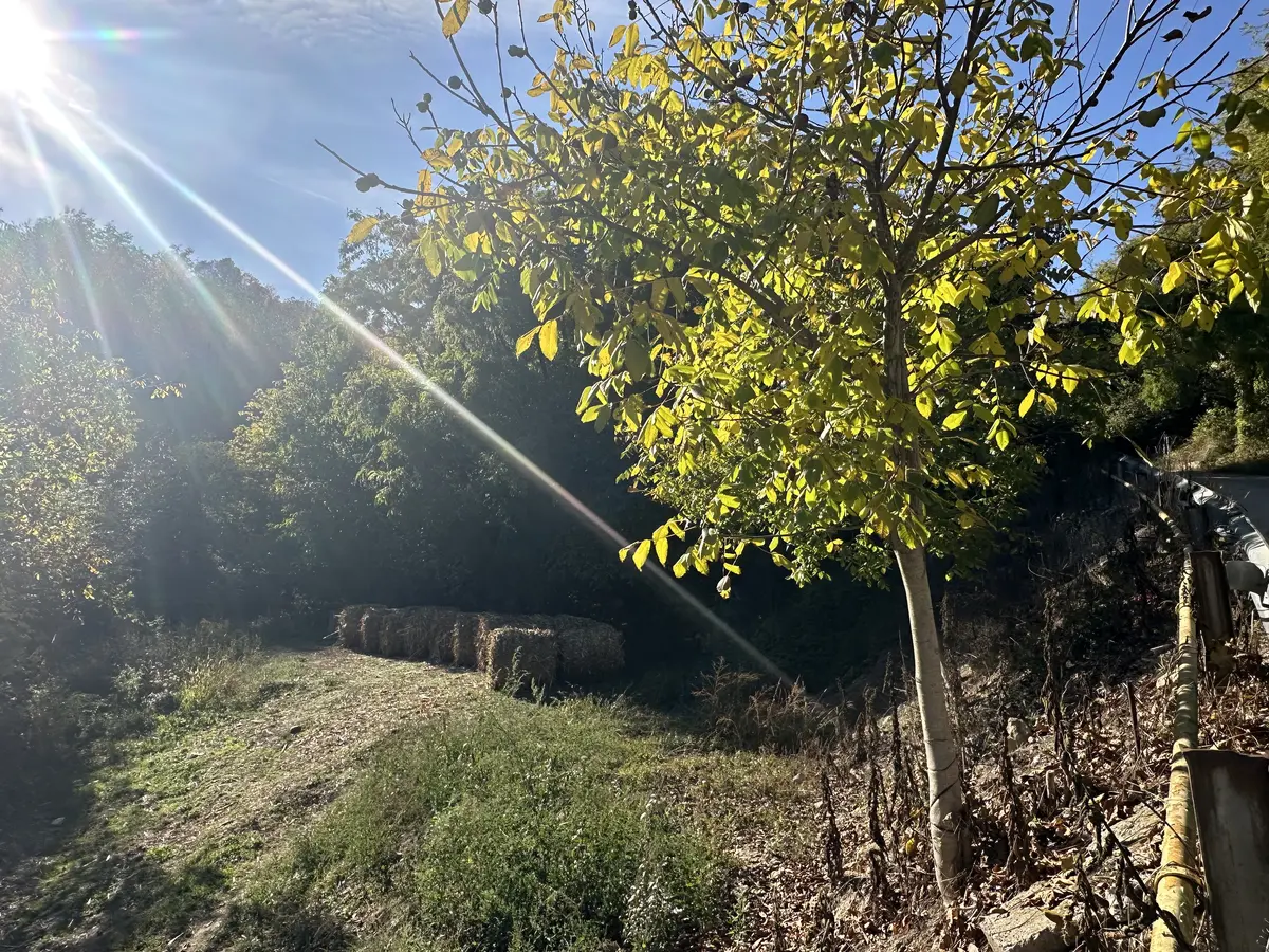 Teren Intravilan, 412 mp, Telna, Comuna Ighiu, fotografia 3