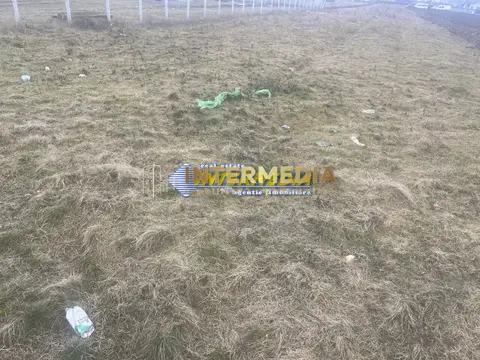 Fotografia 3