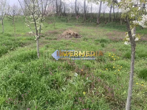 OCAZIE ! Teren intravilan 300 mp. 450 mp. si 500 mp. Vanzare Barabant Alba Iulia pentru cabana