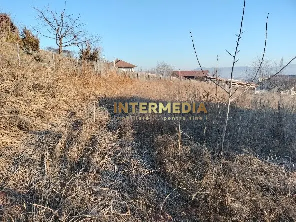 1400 mp. Deschidere 38 m Teren Intravilan CETATE Valea Popii utilitatile langa, fotografia 5