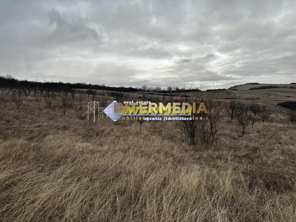 Teren extravilan de vanzare in suprafata de 80000 mp cu livada de pomi fructiferi, fotografia 4