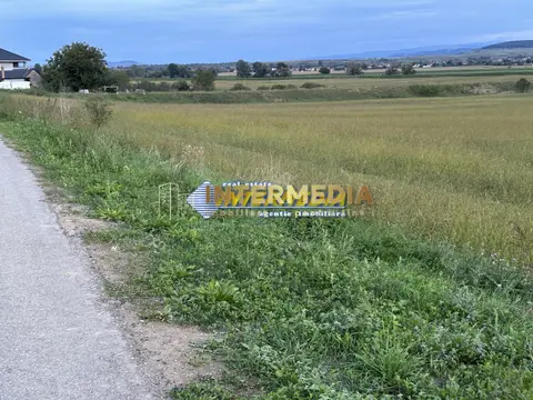 Fotografia 5