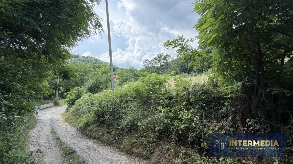 Teren intravilan 1257 mp la liziera pădurii, Meteș, la 15 km de Alba Iulia, fotografia 3