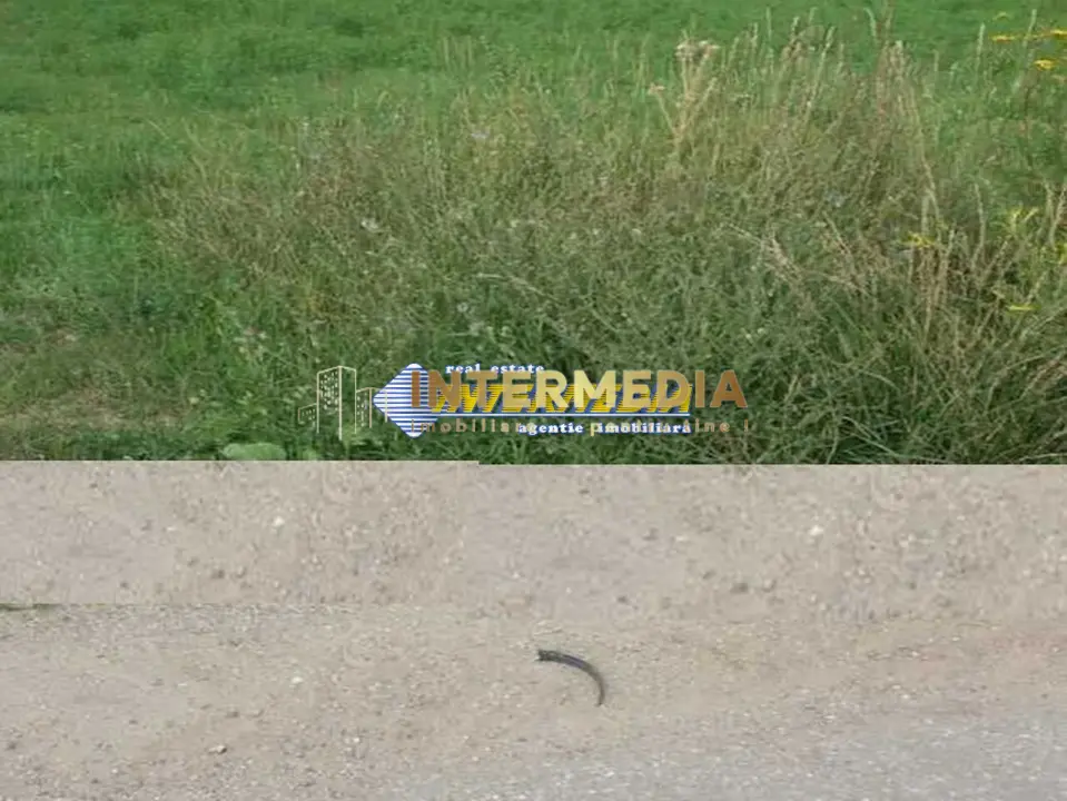 Teren Intravilan 600 mp in zona Alba Micesti, parcele diverse, fotografia 1
