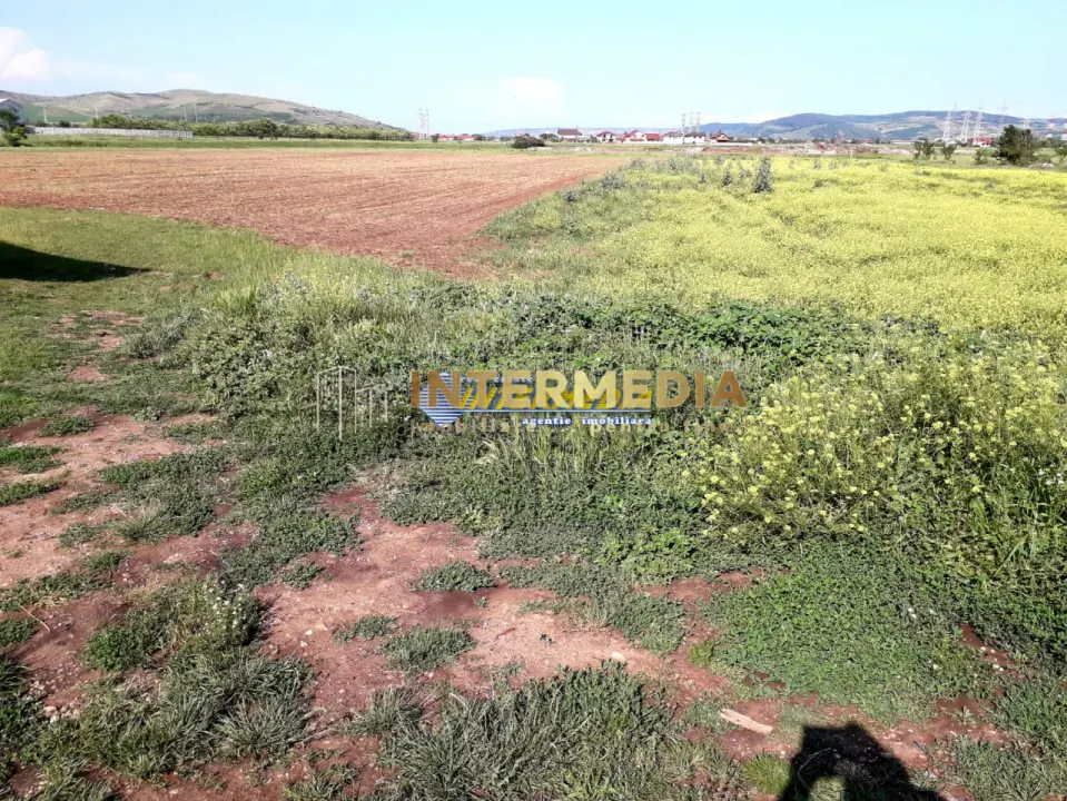 Teren Intravilan de vanzare 3550 mp Alba-Micesti, fotografia 1