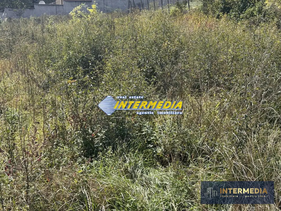 Teren intravilan, de vanzare, in Cetate, zona superba, 500 mp, fotografia 1