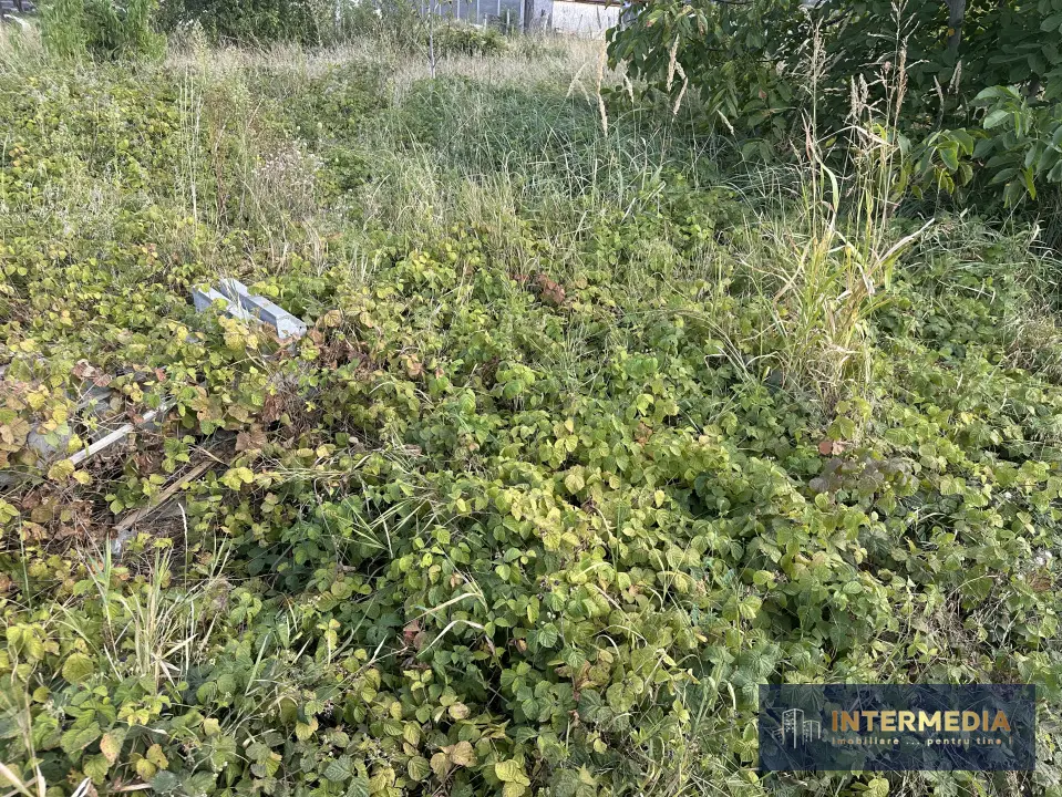 Teren intravilan 432 mp, cu apă, gaz și curent, deschidere la stradă 22 ml, fotografia 2